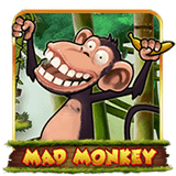 Mad Monkey H5